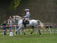 REMPARTS LONGWY 2008 295